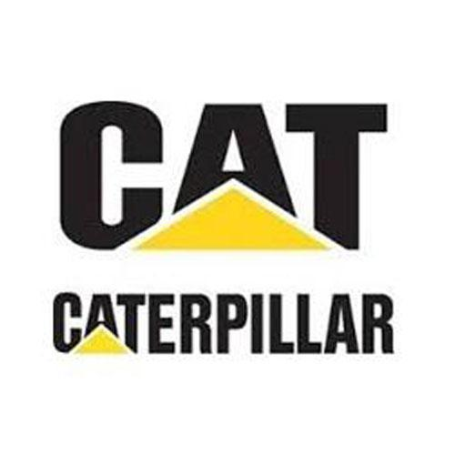 Caterpillar